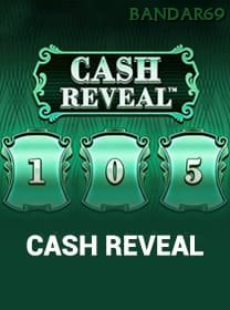 Cash Reveal icon