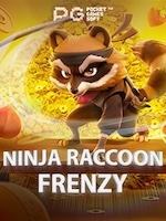 Ninja-Raccoon-Frenzy game thumbnail